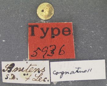 Media type: image;   Entomology 5936 Aspect: labels